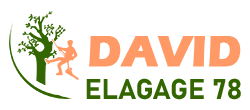 elagage-david-elagage-78